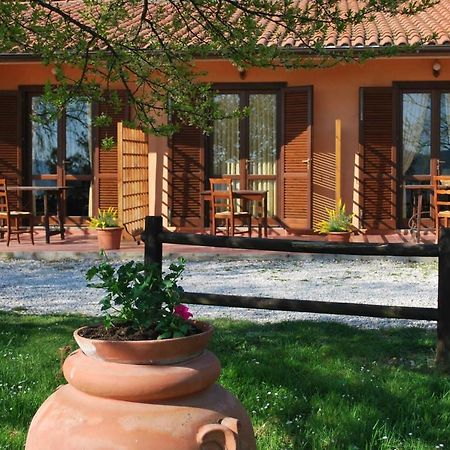 Erba Di Campo Residence Quercianella Exterior foto